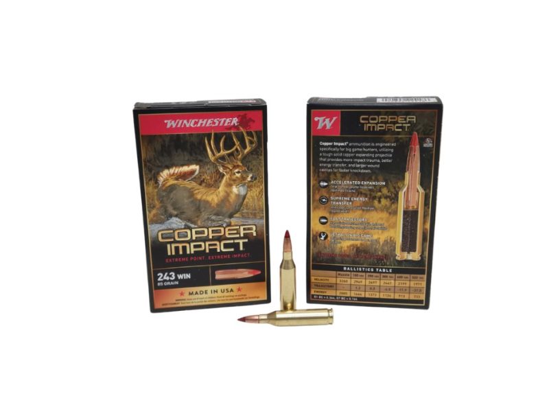 Winchester .243 Win Copper Impact